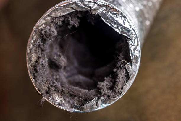 Best Professional Duct Cleaning Services  in Contra Costa Centre, CA